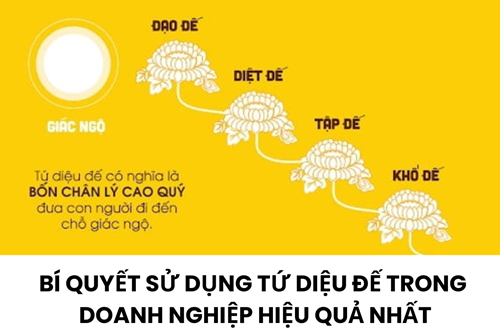 Bí quyết sử dụng tứ diệu đế trong doanh nghiệp hiệu quả nhất
